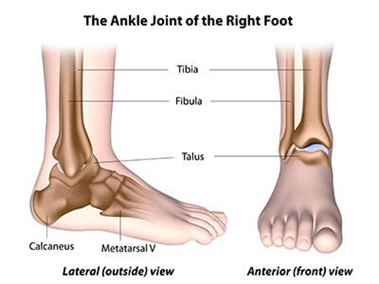 Professional Ankle Arthroscopy Services | Sforzo Dillingham