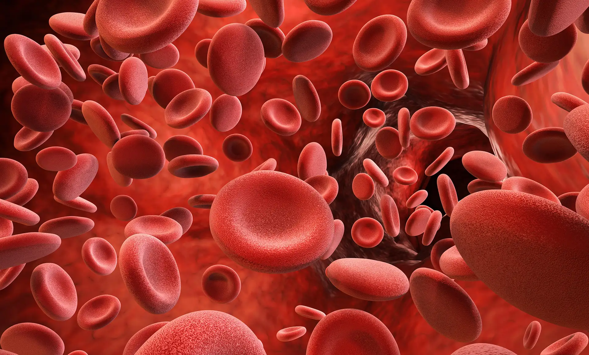Now Offering Platelet Rich Plasma (PRP)